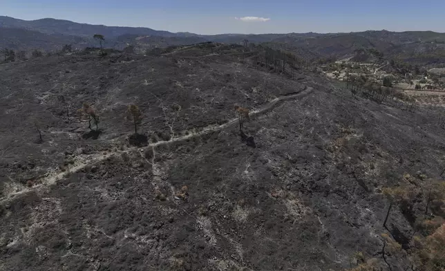 Scorched trees and charred earth following a wildfire that swept through a forested area in the town of Rabia, in Syria's Latakia countryside, Saturday, July 12, 2025. (AP Photo/Ghaith Alsayed)