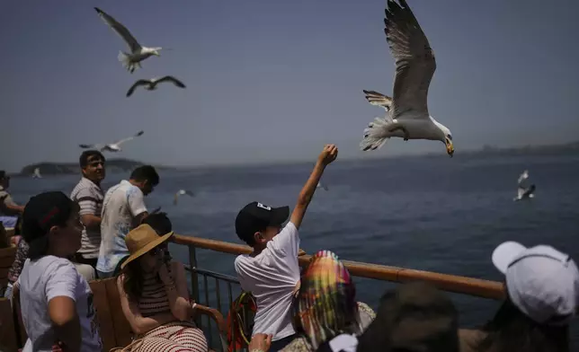 A young boy feeds a seagull on a ferry bound for the Princes' Islands in the Sea of Marmara, in Istanbul, Turkey, Saturday, May 24, 2025. (AP Photo/Francisco Seco)