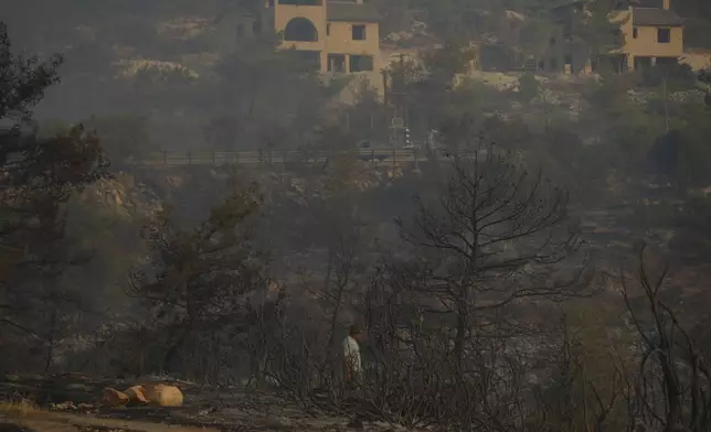 Resident Antonis Christou looks at a burned area in Souni village, Cyprus, during a massive wildfire on the southern side of the east Mediterranean island nation's Troodos mountain range, Thursday, July 24, 2025. (AP Photo/Petros Karadjias)