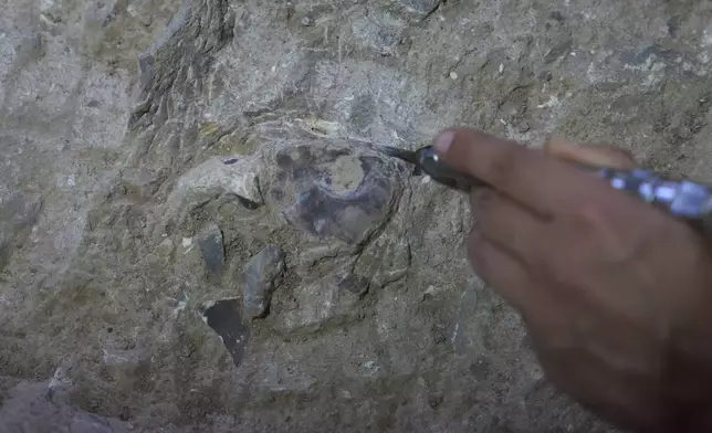 Volunteers work in Tinshemet Cave, where archaeologists are excavating one of the world's oldest known burial sites, dating back 100,000 years, near Shoam, Israel, Tuesday, July 15, 2025. (AP Photo/Ariel Schalit)