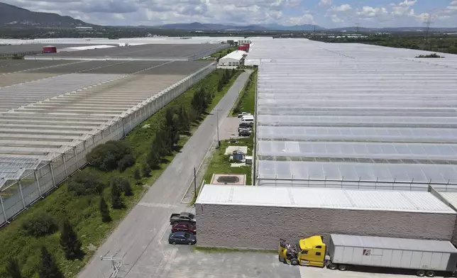 Greenhouses at the Veggie Prime tomato farm, which exports to the United States, in Ajuchitlan, Mexico, Wednesday, July 23, 2025. (AP Photo/Marco Ugarte)