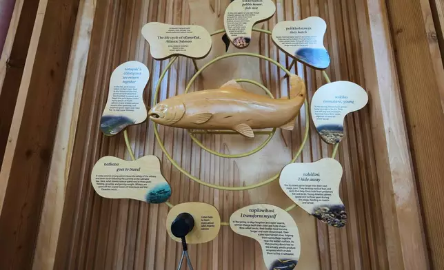 A display about the lifecycle of an Atlantic salmon is seen in the Tekakapimək Contact Station, Jan. 7, 2025, at the Katahdin Woods and Waters National Monument in northern Maine.(AP Photo/Robert F. Bukaty)