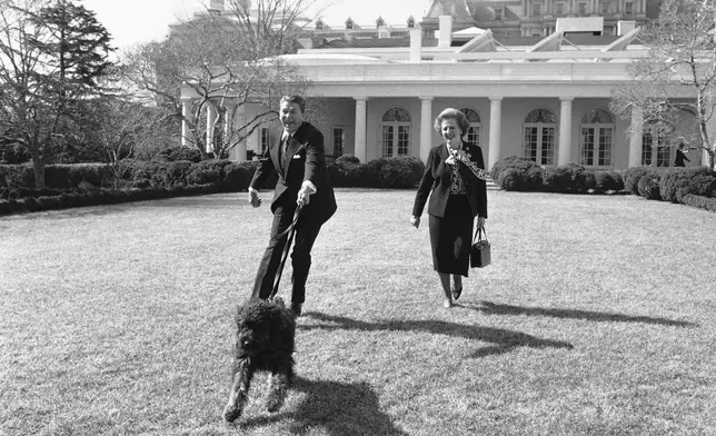 FILE - President Ronald Reagan is pulled along by his pet dog Lucky, while he and British Prime Minister Margaret Thatcher take a stroll in the White House Rose Garden, Feb. 20, 1985 in Washington. (AP Photo/Barry Thumma, File)