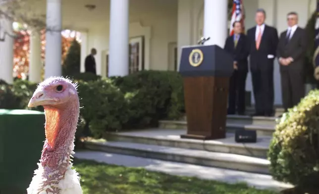 FILE - President Clinton, flanked by National Turkey Federation (NTF) Chairman Frank Gessell, left, and NTF Secretary Treasurer Jerry Jerome, watch a 45-pound turkey in the Rose Garden of the White House, Nov. 24, 1998 where the president, in a pre-Thanksgiving tradition, pardoned the bird. (AP Photo/Doug Mills, File)