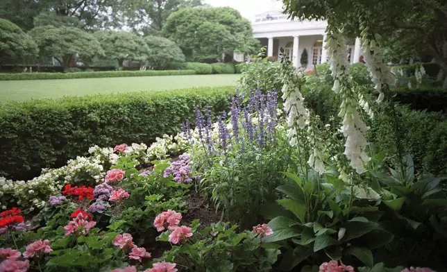 FILE - View of flowers in the Rose Garden of the White House, June 12, 1996, with the Oval Office in the background. (AP Photo/Ruth Fremson, File)