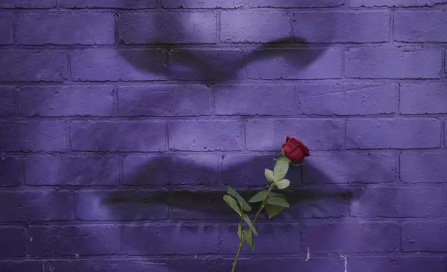 A flower is placed by a music fan to commemorate the death of Ozzy Osbourne in Birmingham, England, Wednesday, July 23, 2025. (AP Photo/Kin Cheung)