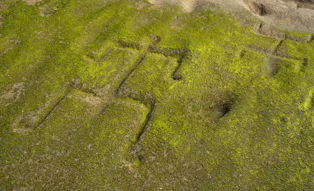 A close-up shows two of several human-shaped petroglyphs carved into the rock at Pokai Bay, July 22, 2025, in Waianae, Hawaii. (AP Photo/Mengshin Lin)