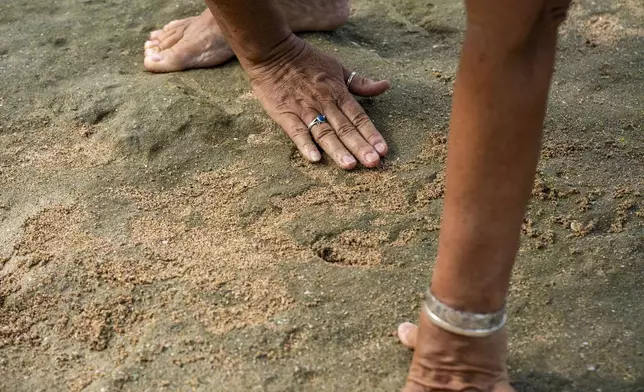 Archaeologist Laura Gilda of the U.S. Army Garrison Hawaii Environmental Division fills a petroglyph carving with sand to make its shape more visible during low tide at Pokai Bay, July 22, 2025, in Waianae, Hawaii. (AP Photo/Mengshin Lin)