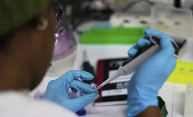 A laboratory technician Nozipho Mlotshwa works on samples at the Wits laboratory Antiviral Gene Therapy Research Unit, at University of the Witwatersrand Medical School, in Johannesburg, South Africa, Thursday, May 22, 2025. (AP Photo/Themba Hadebe)