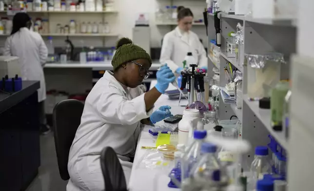 A laboratory technician Nozipho Mlotshwa works on samples at the Wits laboratory Antiviral Gene Therapy Research Unit, at University of the Witwatersrand Medical School, in Johannesburg, South Africa, Thursday, May 22, 2025. (AP Photo/Themba Hadebe)
