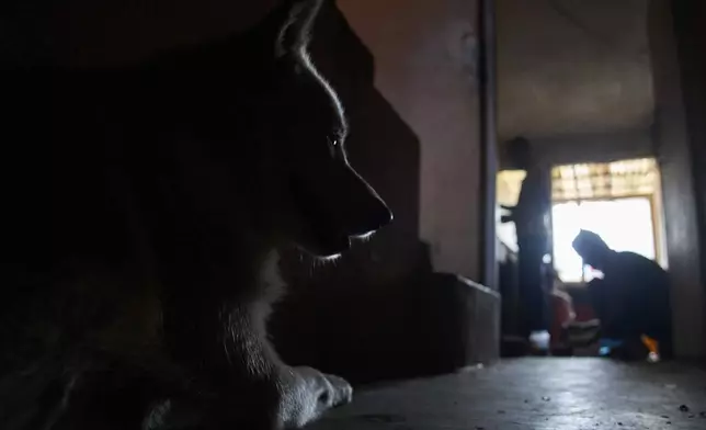 Shayam, the dog, sits nearby as Babu Tamang and his friend prepare lunch in Kathmandu, Nepal, Thursday, July 24, 2025. (AP Photo/Niranjan Shrestha)