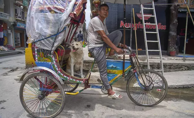 Babu Tamang and his dog Shayam wait for passengers in Thamel, a tourist hub in Kathmandu, Nepal, Wednesday, July 2, 2025. (AP Photo/Niranjan Shrestha)
