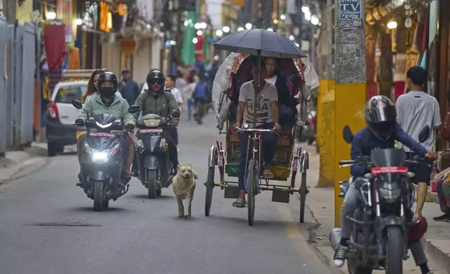 Shayam, the canine, follows rickshaw of Babu Tamang in Kathmandu, Nepal, Thursday, July 24, 2025. (AP Photo/Niranjan Shrestha)