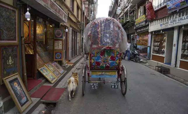 Shayam, the canine, follows Babu Tamang's rickshaw in Kathmandu, Nepal, Friday, July 25, 2025. (AP Photo/Niranjan Shrestha)