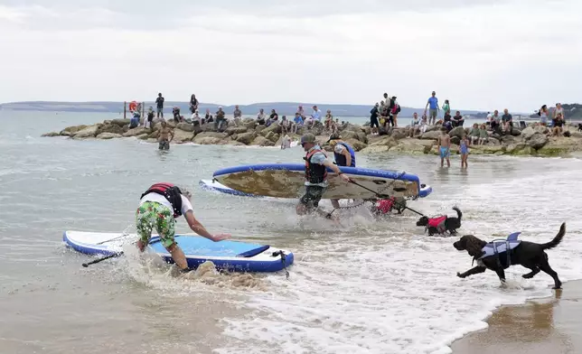 Competitors at the Dog Masters Festival, a dog on a paddle board contest near Poole in Dorset, England, Sunday, July 27, 2025. (AP Photo/Kirsty Wigglesworth)
