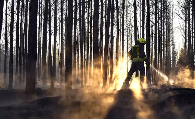 A fire department person works on extinguishing the forest fire near Sonnewalde, Brandenburg, Wednesday, July 22025. (Michael Ukas/dpa via AP)
