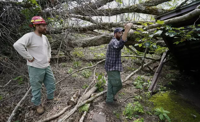 U.S. Forest Service Forestry Recreation Program Manager Chad Ingle, left, and Technician Brandon Church, access damage to the Cherry Gap Shelter along the Appalachian Trail during a trail rebuilding project, July 22, 2025, in Unicoi, Tenn. (AP Photo/Erik Verduzco)