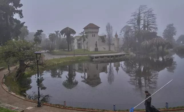 Palm trees adorn Parque Rodo in Montevideo, Uruguay, Tuesday, July 8, 2025, as thousands of palm trees in the South American country have been devoured by the red palm weevil since its unexplained arrival from Southeast Asia in 2022. (AP Photo/Matilde Campodonico)