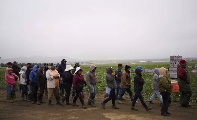 Workers gather for a Know Your Rights session hosted by immigrant and farmworker advocacy group TODEC in Lakeview, Calif., Tuesday, April 15, 2025. (AP Photo/Jae C. Hong)