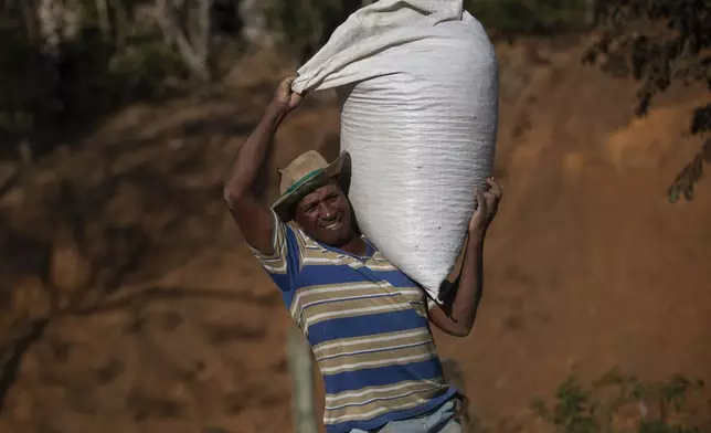 Coffee producer Jose Natal da Silva carries a bag of coffee beans on his farm in Porciuncula, Rio de Janeiro state, Brazil, Thursday, July 17, 2025. (AP Photo/Bruna Prado)