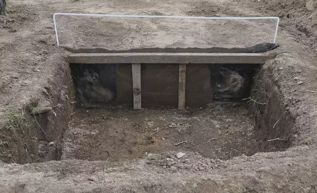 A view of a burial site of pig carcasses that are proxies for humans in research to help find people who have gone missing in Mexico during decades of drug cartel violence, in Zapopan, Mexico, Friday, July 11, 2025. (AP Photo/Alejandra Leyva)