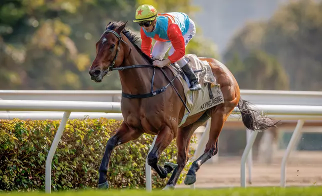 Ka Ying Rising is crowned Horse of the Year.