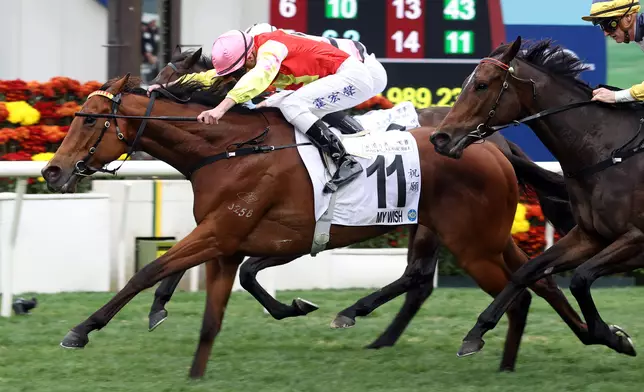 My Wish is this season’s Most Improved Horse