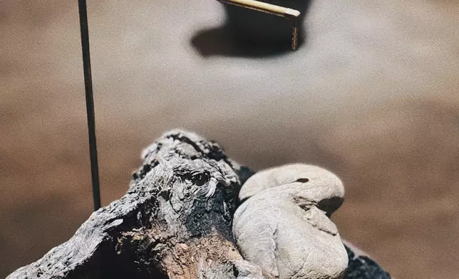 Hong Kong House at Echigo-Tsumari Art Field 2025 to stage in Tsunan, Japan, from tomorrow  Source: HKSAR Government Press Releases