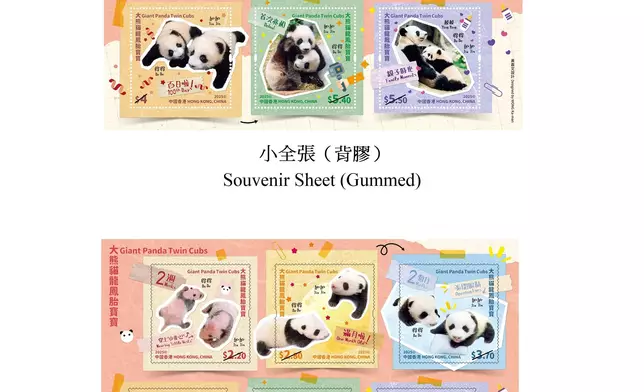 Hongkong Post to issue "Giant Panda Twin Cubs" special stamps Source: HKSAR Government Press Releases