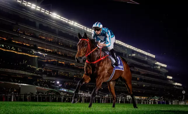 Romantic Warrior is crowned Champion Middle-Distance Horse