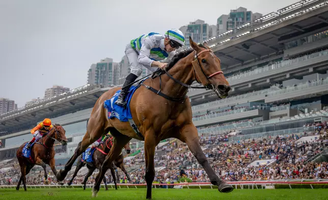 Voyage Bubble is named Champion Miler and Champion Stayer