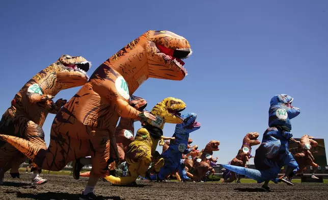 T-Rex racers participate in a preliminary heat during the "T-Rex World Championship Races" at Emerald Downs, Sunday, June 29, 2025, in Auburn, Wash. (AP Photo/Lindsey Wasson)