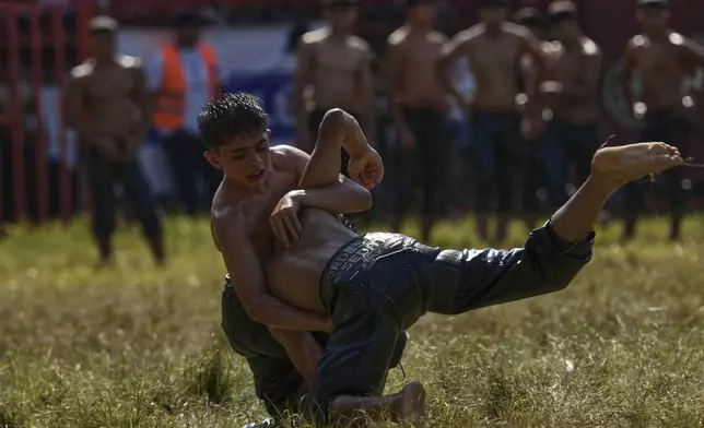 Young wrestlers compete during the 664th annual Historic Kirkpinar Oil Wrestling championship, in Edirne, northwestern Turkey, Sunday, July 6, 2025. (AP Photo/Khalil Hamra)