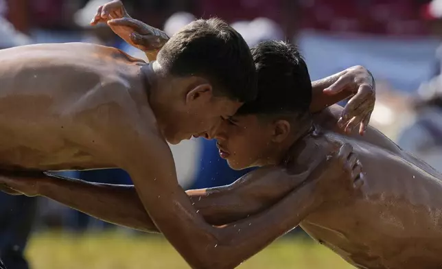 Young wrestlers compete during the 664th annual Historic Kirkpinar Oil Wrestling championship, in Edirne, northwestern Turkey, Sunday, July 6, 2025. (AP Photo/Khalil Hamra)