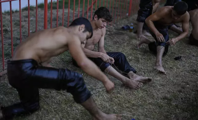 Young wrestlers prepare as they wait for their turn to compete during the 664th annual Historic Kirkpinar Oil Wrestling Championship, in Edirne, northwestern Turkey, Sunday, July 6, 2025.(AP Photo/Khalil Hamra)
