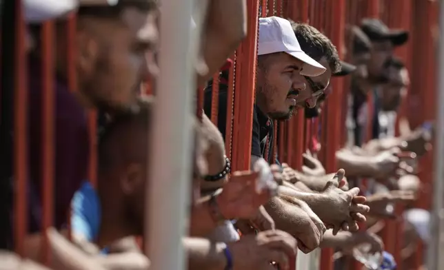 Spectators watch wrestling rounds during the 664th annual Historic Kirkpinar Oil Wrestling championship, in Edirne, northwestern Turkey, Sunday, July 6, 2025. (AP Photo/Khalil Hamra)