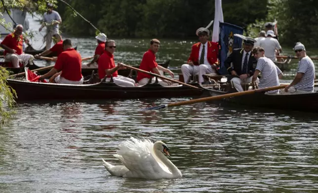 Swan uppers travel along the River Thames between Staines and Eton, during the ancient tradition of Swan Upping, the annual census of the mute swan population on the River Thames in London, Monday, July 14, 2025. (AP Photo/Thomas Krych)