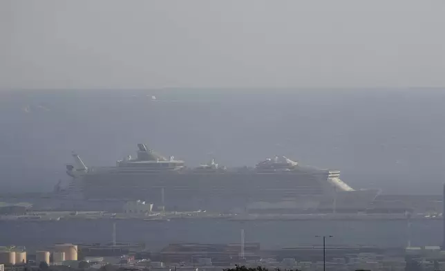 A cruise ship is seen through the smoke during a wild fire Tuesday, July 8, 2025 in the port of Marseille, southern France. (AP Photo/Lewis Joly)