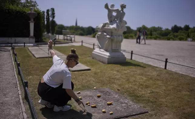 A woman takes a photo of herself as she places a potato on the grave stone of King Frederick II of Prussia, in the park of Sanssouci Palace in Potsdam, Germany, June 17, 2025. (AP Photo/Markus Schreiber)