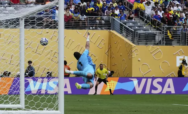 Fluminense goalkeeper Fabio (1) can't stop a goal by Chelsea's João Pedro during the Club World Cup semifinal soccer match between Fluminense and Chelsea in East Rutherford, N.J., Tuesday, July 8, 2025. (AP Photo/Seth Wenig)