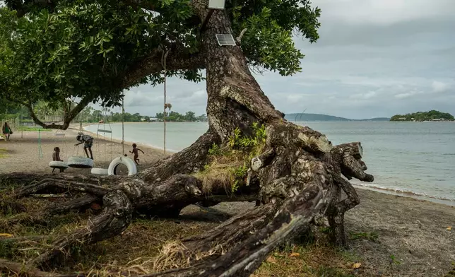 Children play on an uprooted tree along a beach in Mele, Vanuatu, that was once lined with vegetation, now largely lost to storms, erosion and other environmental pressures on Saturday, July 19, 2025. (AP Photo/Annika Hammerschlag)