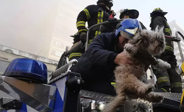 Firefighters rescue a dog from a burning building in Santiago, Chile, Thursday, July 10, 2025. (AP Photo/Esteban Felix)