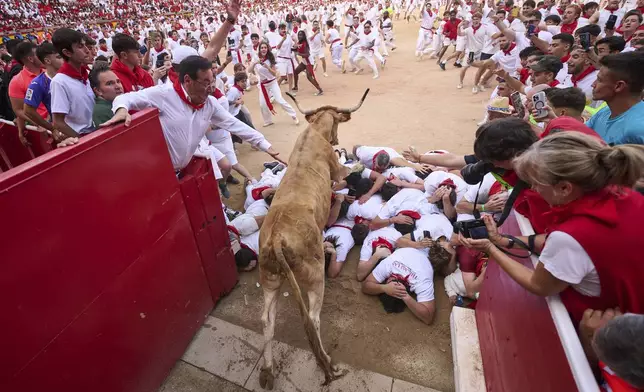 A cow leaps over a group of revelers lying on the ground at the entrance to the bullring during the running of the bulls on the fifth day of the San Fermin Festival in Pamplona, northern Spain, on Friday, July 11, 2025. (AP Photo/Miguel Oses)