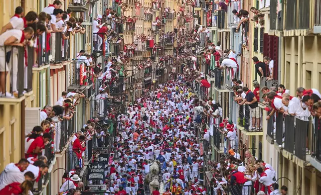 Revelers run alongside José Escolar Gil's fighting bulls during the sixth running of the bulls at the San Fermín Festival in Pamplona, Spain, Saturday, July 12, 2025. (AP Photo/Miguel Oses)