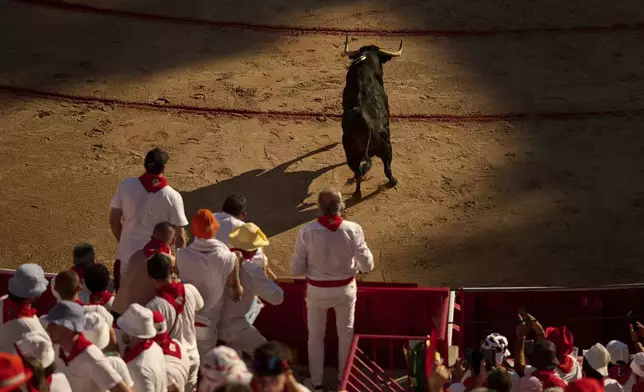 A bull from the Victoriano del Río ranch charges into the bullring during the San Fermín Festival in Pamplona, northern Spain, Thursday, July 10, 2025. (AP Photo/Miguel Oses)