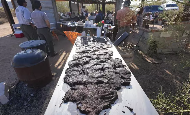 As crushed fruit from the Saguaro cactus harvest dries, The Rev. Aro Varnabas leads the St. John the Baptist's feast day Mass in Saguaro National Park near Tucson, Ariz., on Tuesday, June 24, 2025. (AP Photo/Ross D. Franklin)