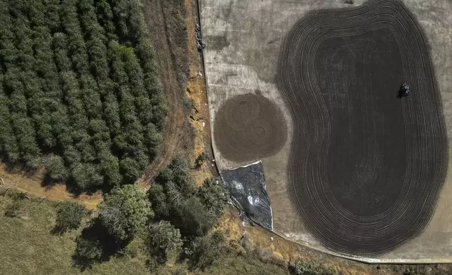 Artur Vargas rides a motorcycle adapted to spread coffee beans for drying on his father's coffee plantation in Varre-Sai, Rio de Janeiro state, Brazil, Friday, July 18, 2025. (AP Photo/Bruna Prado)