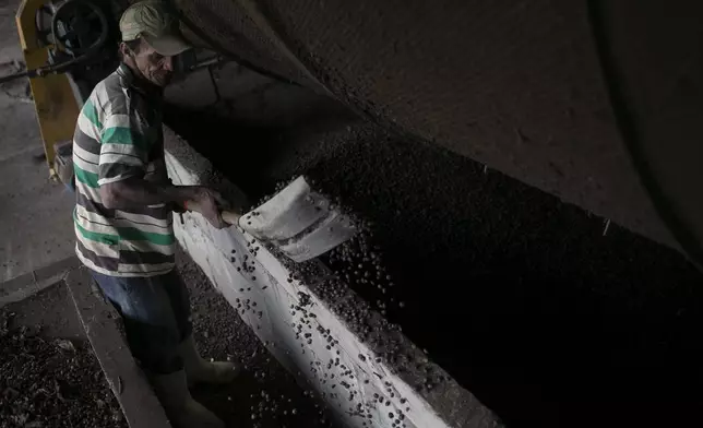 A worker pours coffee beans into drying equipment on a coffee farm in Porciuncula, Rio de Janeiro state, Brazil, Thursday, July 17, 2025. (AP Photo/Bruna Prado)