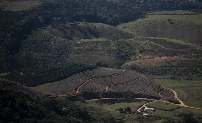An aerial view of coffee plantations in Varre-Sai, Rio de Janeiro state, Brazil, Friday, July 18, 2025. (AP Photo/Bruna Prado)