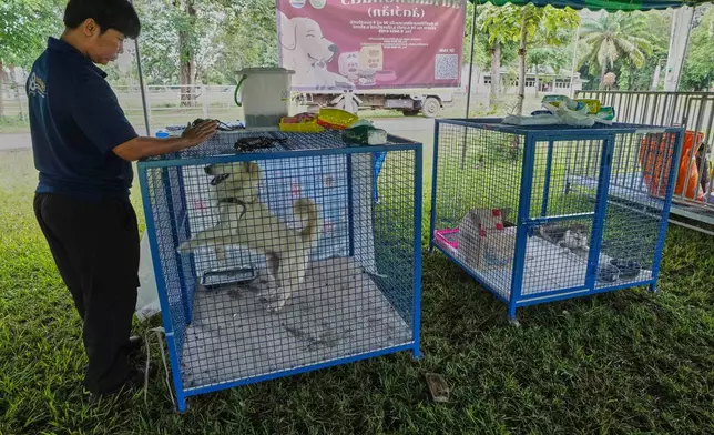 A Thai officer plays with a dog at a shelter for pets whose owners fled homes following clashes between Thai and Cambodian soldiers, unable to take their animals with them, in Surin province, Thailand, Sunday, July 27, 2025. (AP Photo/Sakchai Lalit)